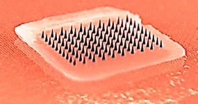 A dissolving microneedle patch for flu vaccination